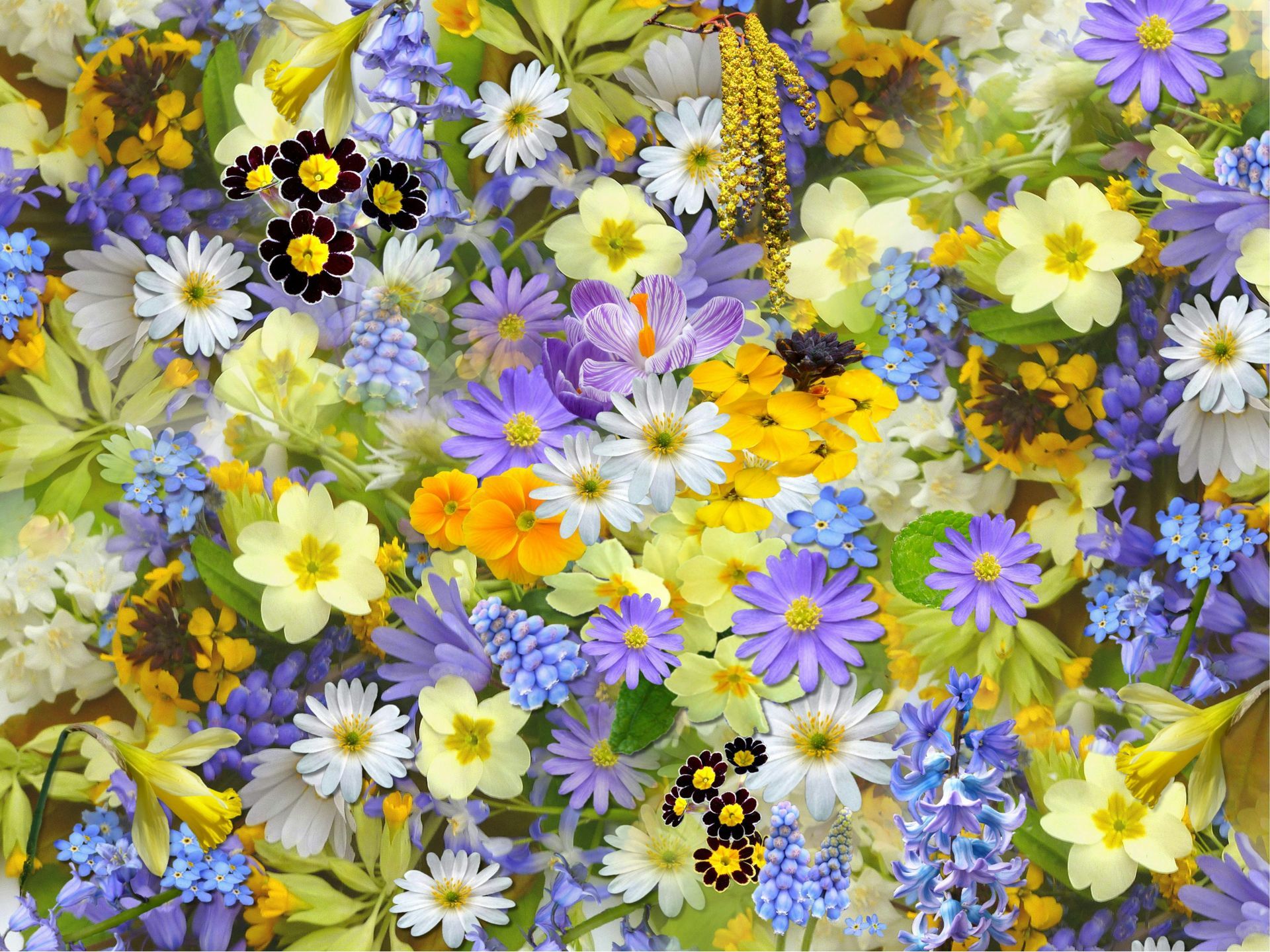 There are many different types of flowers in this picture.