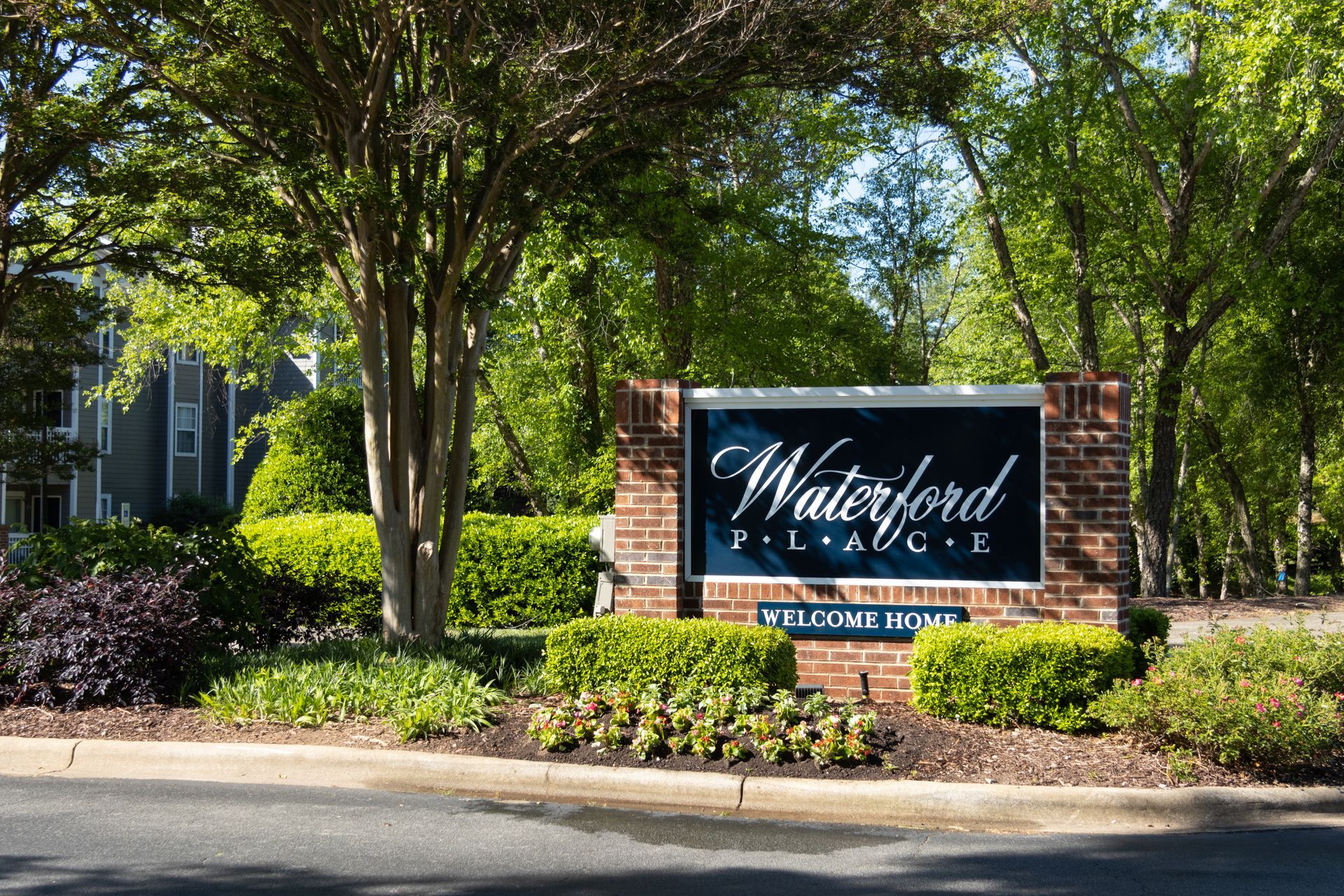 Interior photo of a houseplant on a table