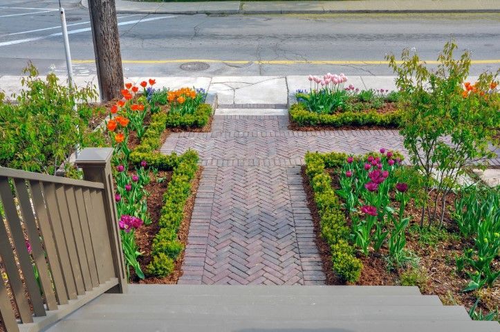 A brick path leads from porch steps through a garden with blooming orange, purple, and pink tulips to a street sidewalk.
