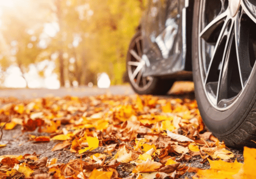 How Falling Leaves Can Damage Your Car—And What to Do About It
