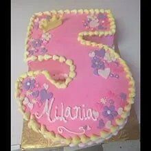 Fifth Birthday Cake — Amsterdam, NY — Rosito's Bakery