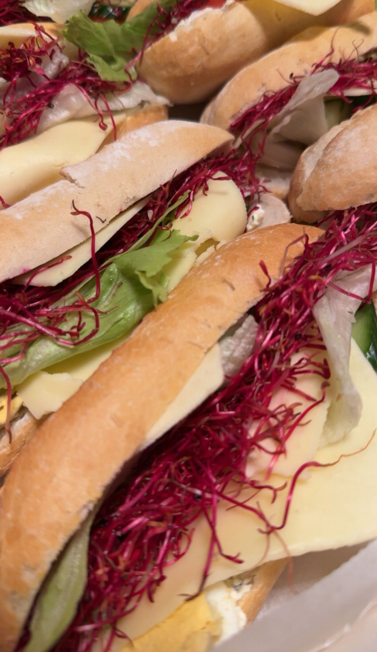 Sandwiches met kaas, sla en rode taugé op stokbrood.