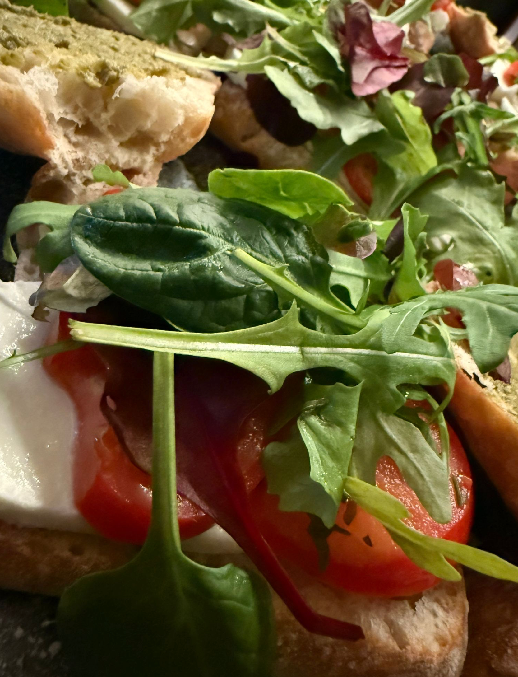 Bruschetta: geroosterd brood belegd met mozzarella, tomaat en gemengde sla.