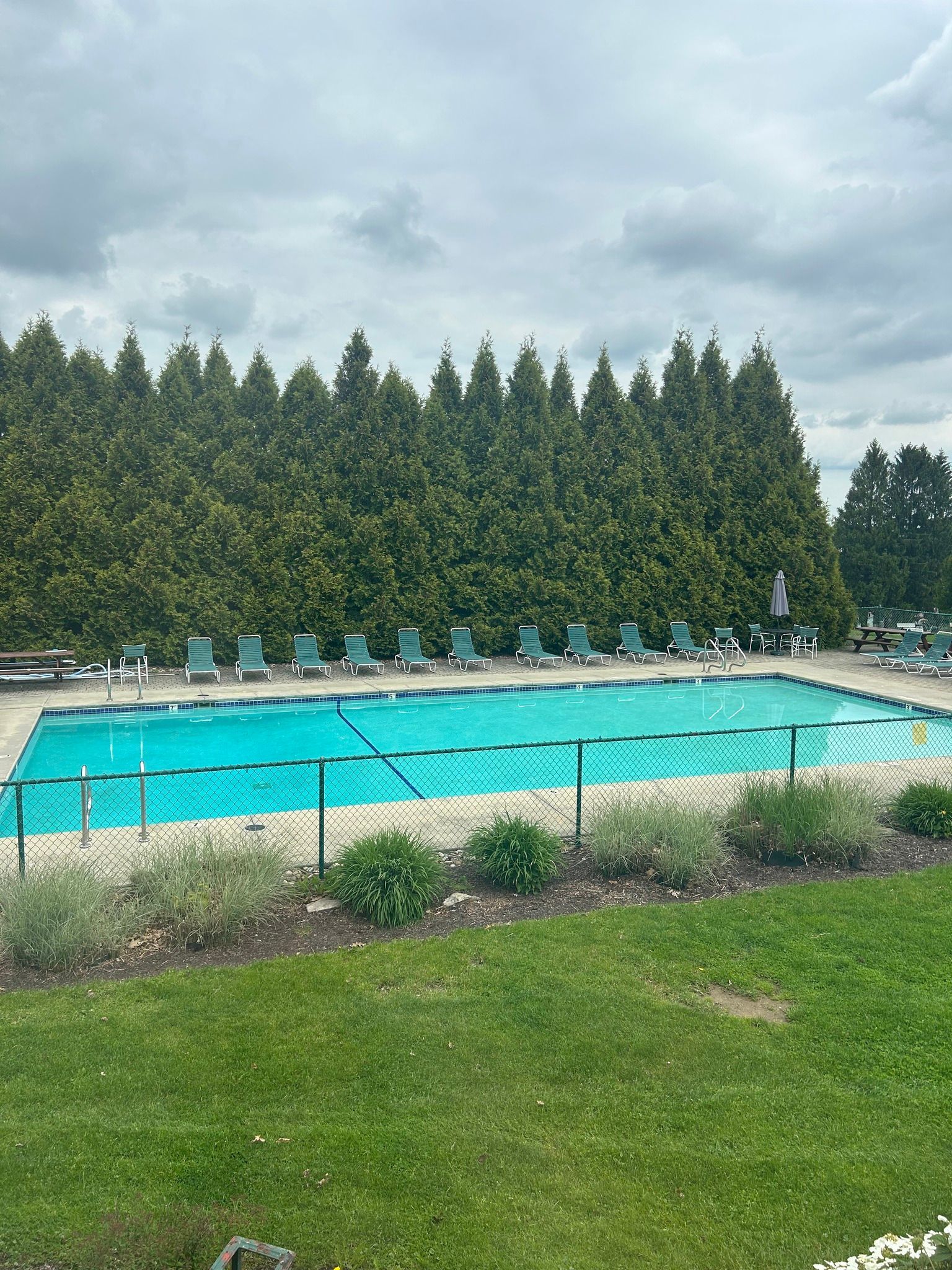 A swimming pool covered with a blue tarp, surrounded by green hedges and lawn under a cloudy sky.