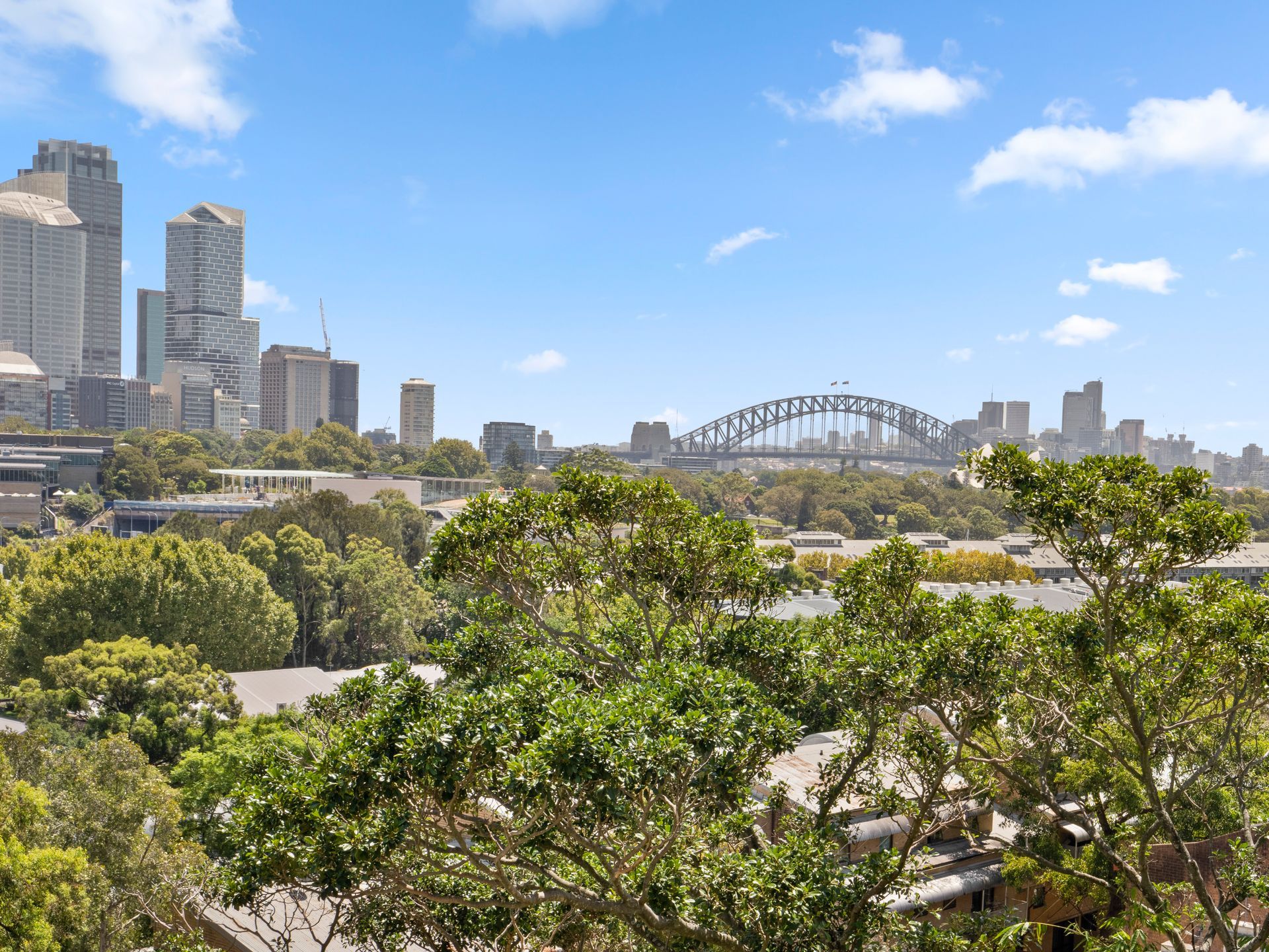 A view of a city with trees in the foreground and a bridge in the background.