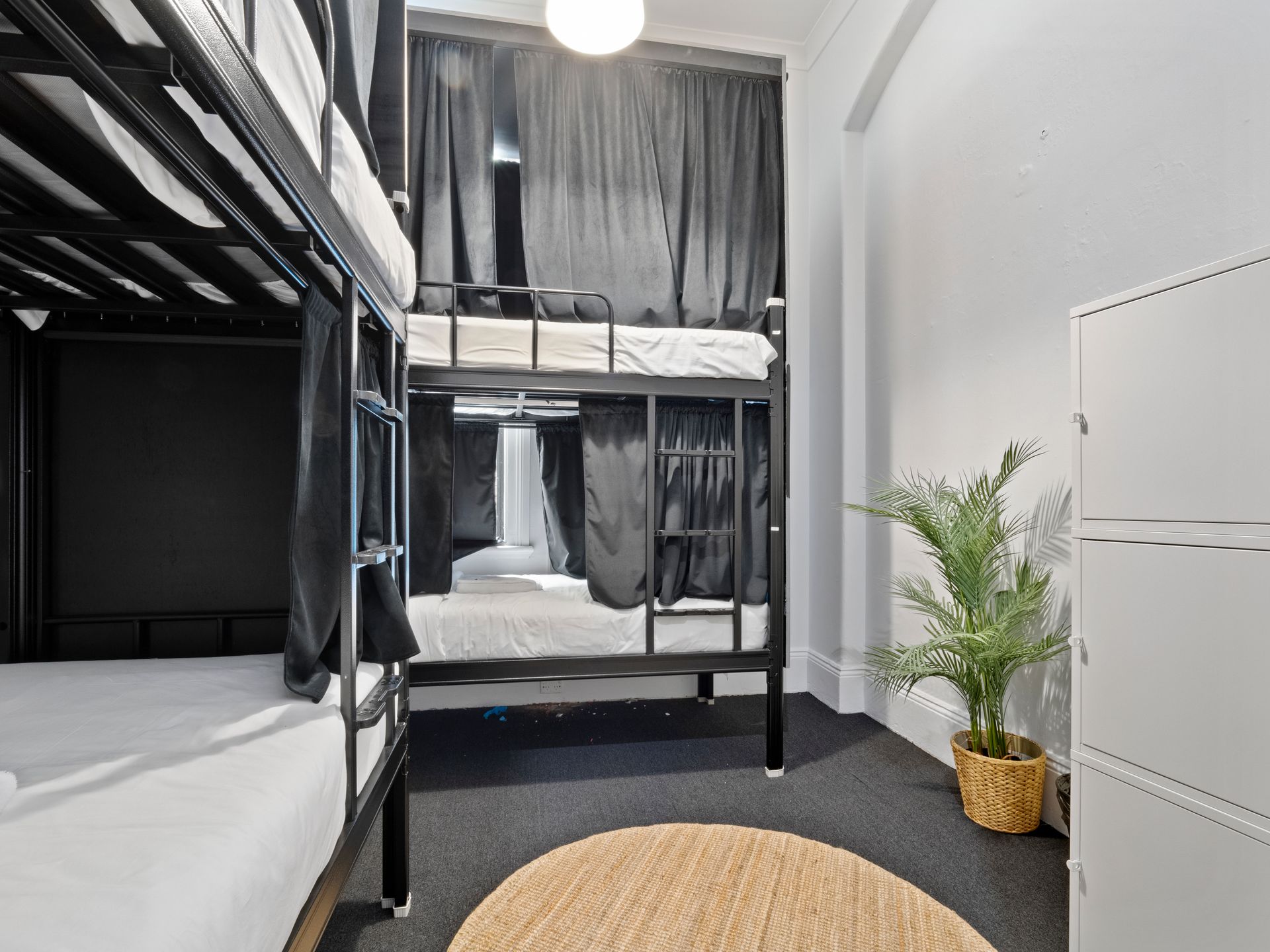 A bunk bed is sitting in a room next to a plant.