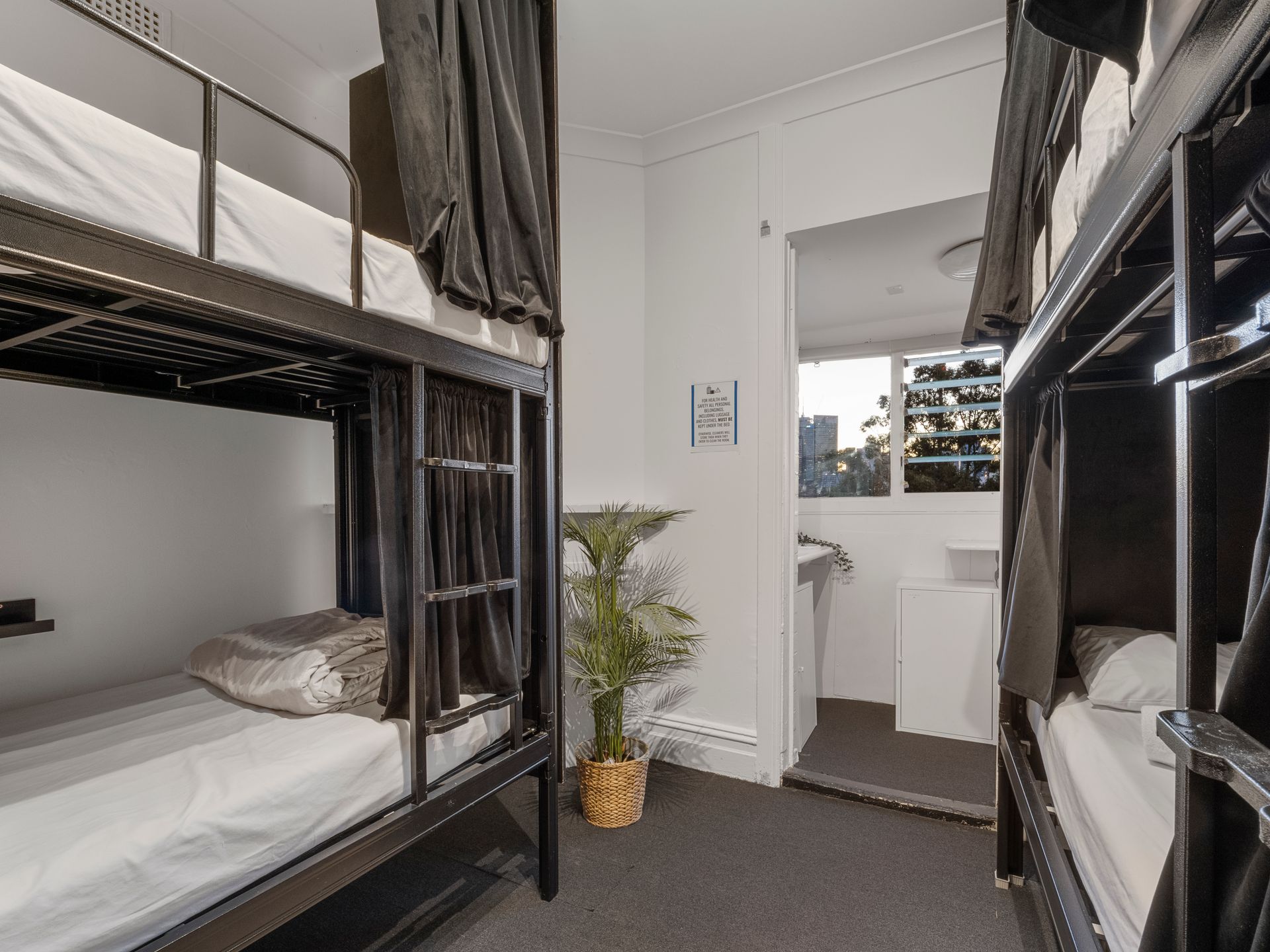 A room with bunk beds and a plant in it