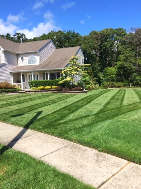 Modern House and Yard - Landscaping in Egg Harbor Township, NJ
