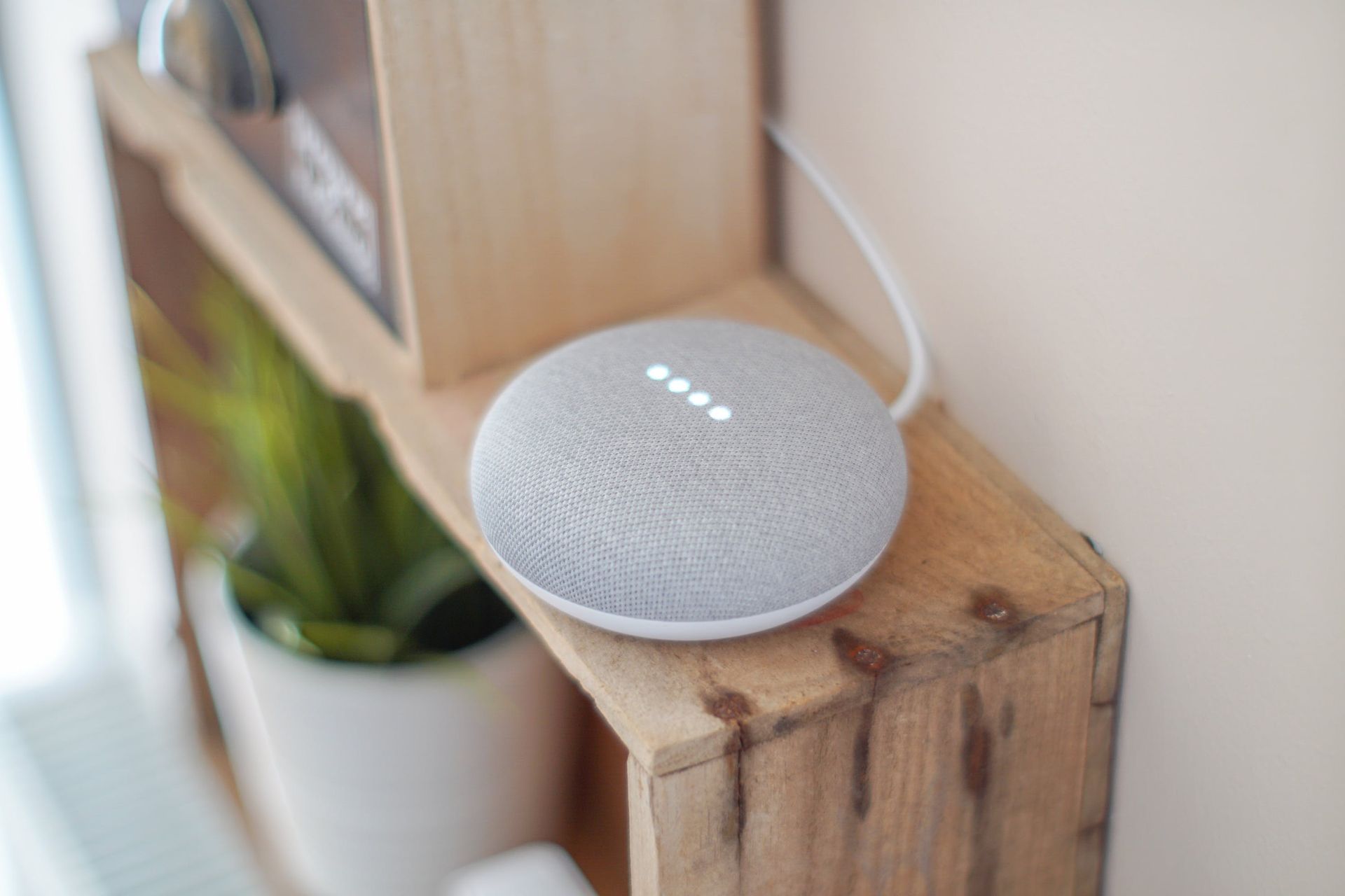 a small speaker sits on a wooden shelf next to a plant