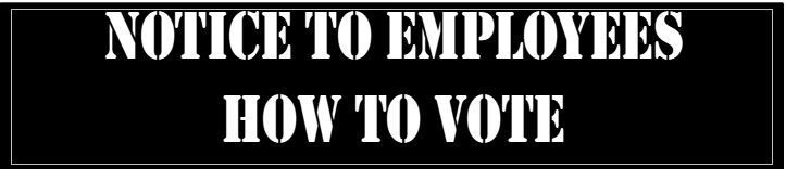 How To Vote Image