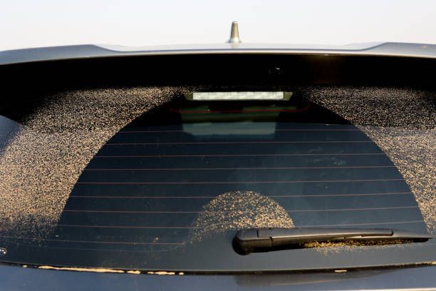 The back window of a car with a wiper on it.