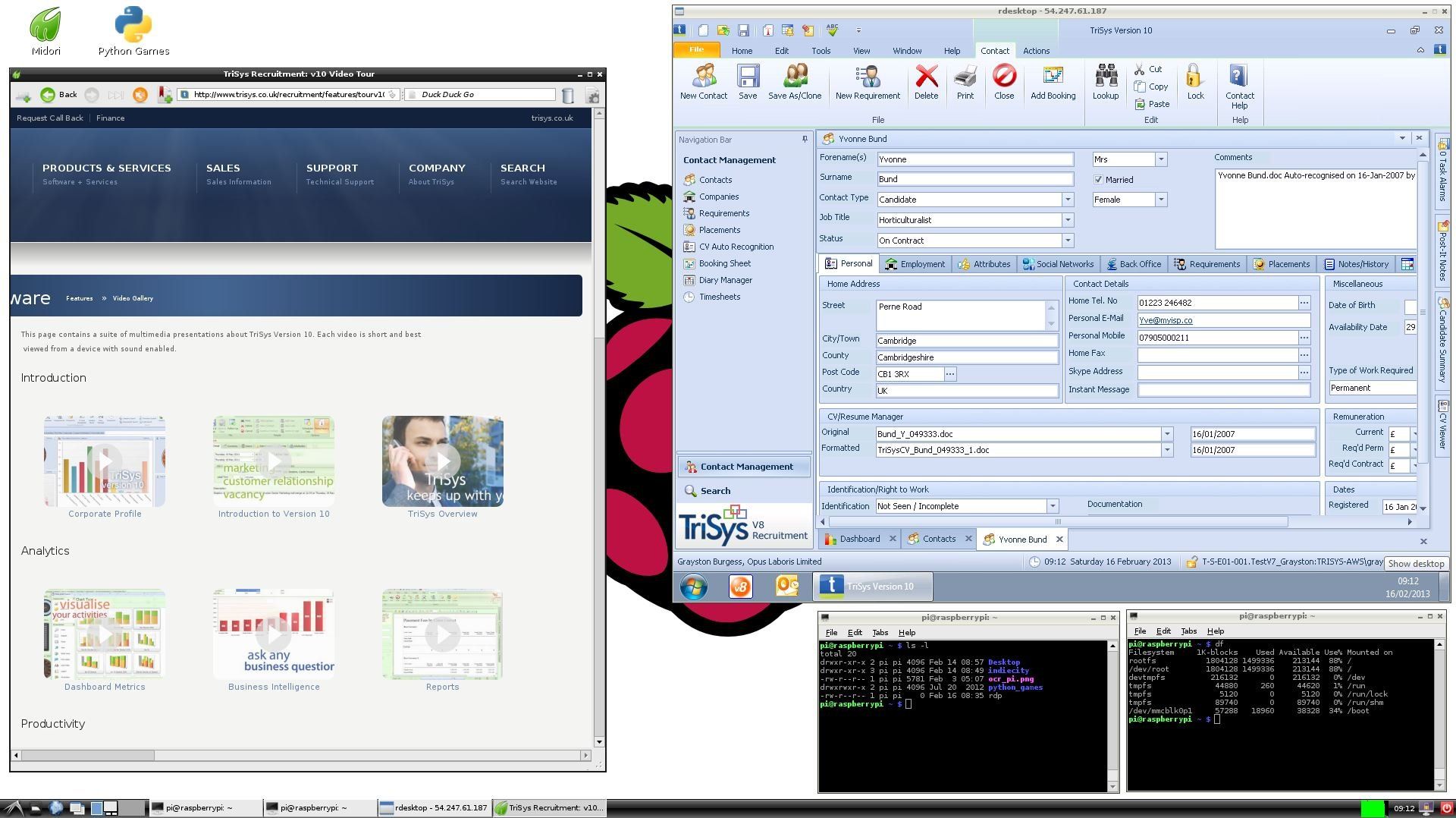 A computer screen with a raspberry pi logo on it