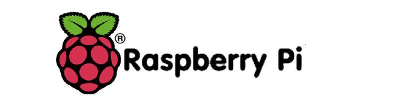 A raspberry pi logo on a white background