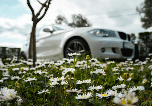 Spring into Peak Performance: Essential Car Care for Your British & European Auto