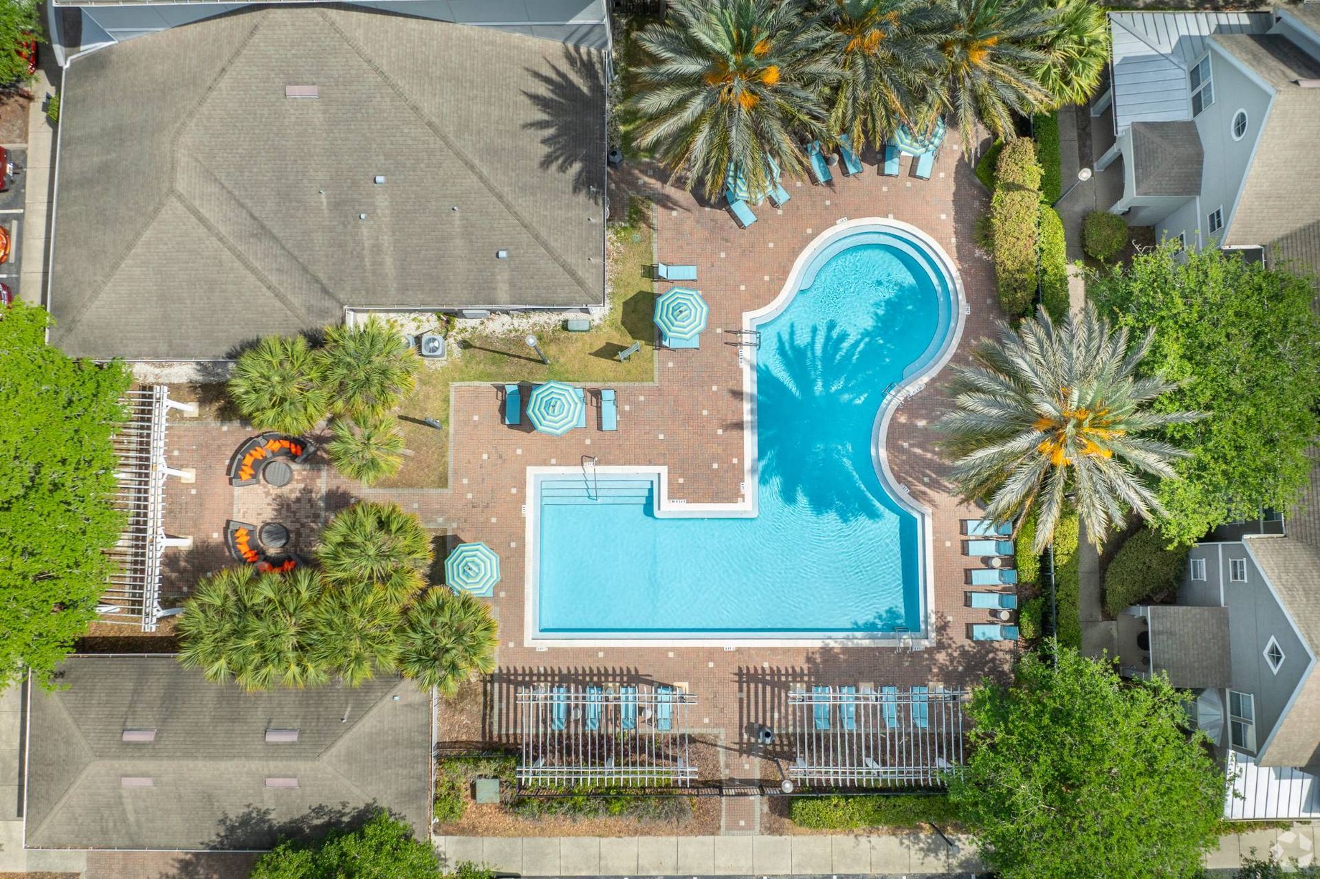 Aerial view of the community pool area with palm trees and lounge chairs.
