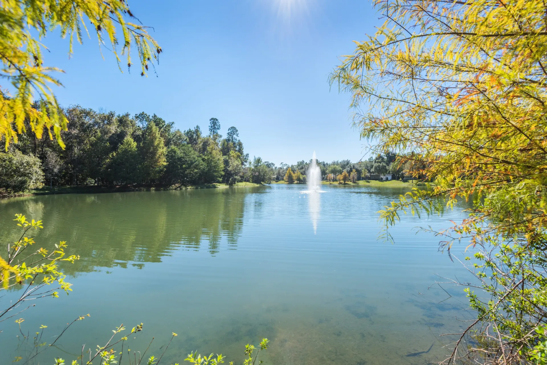 Lake with a fountain, surrounded by trees under a sunny blue sky.