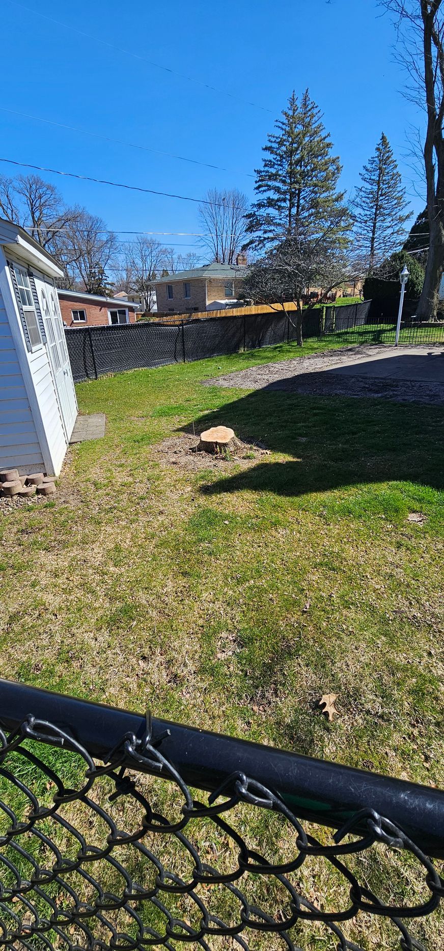 A chain link fence surrounds a yard with a tree stump in the middle of it.