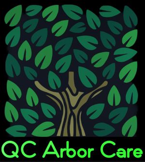 QC Arbor Care LLC