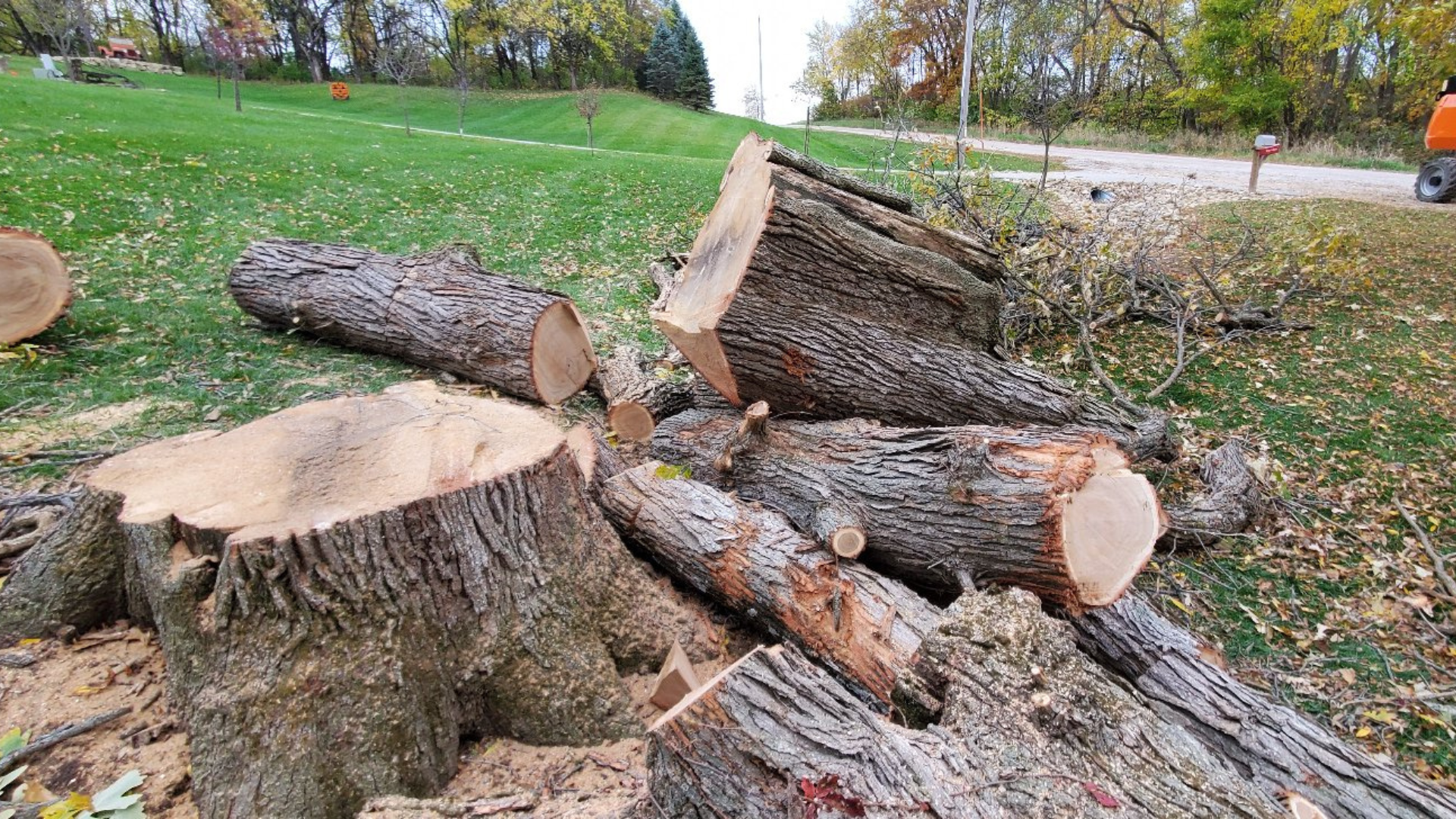 A pile of logs laying on the ground in a park.