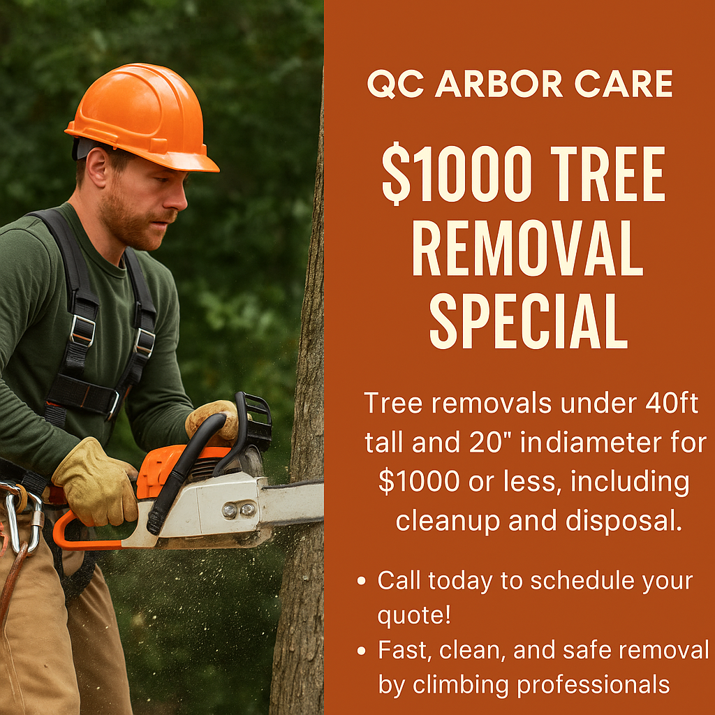 A man is cutting a tree with a chainsaw.