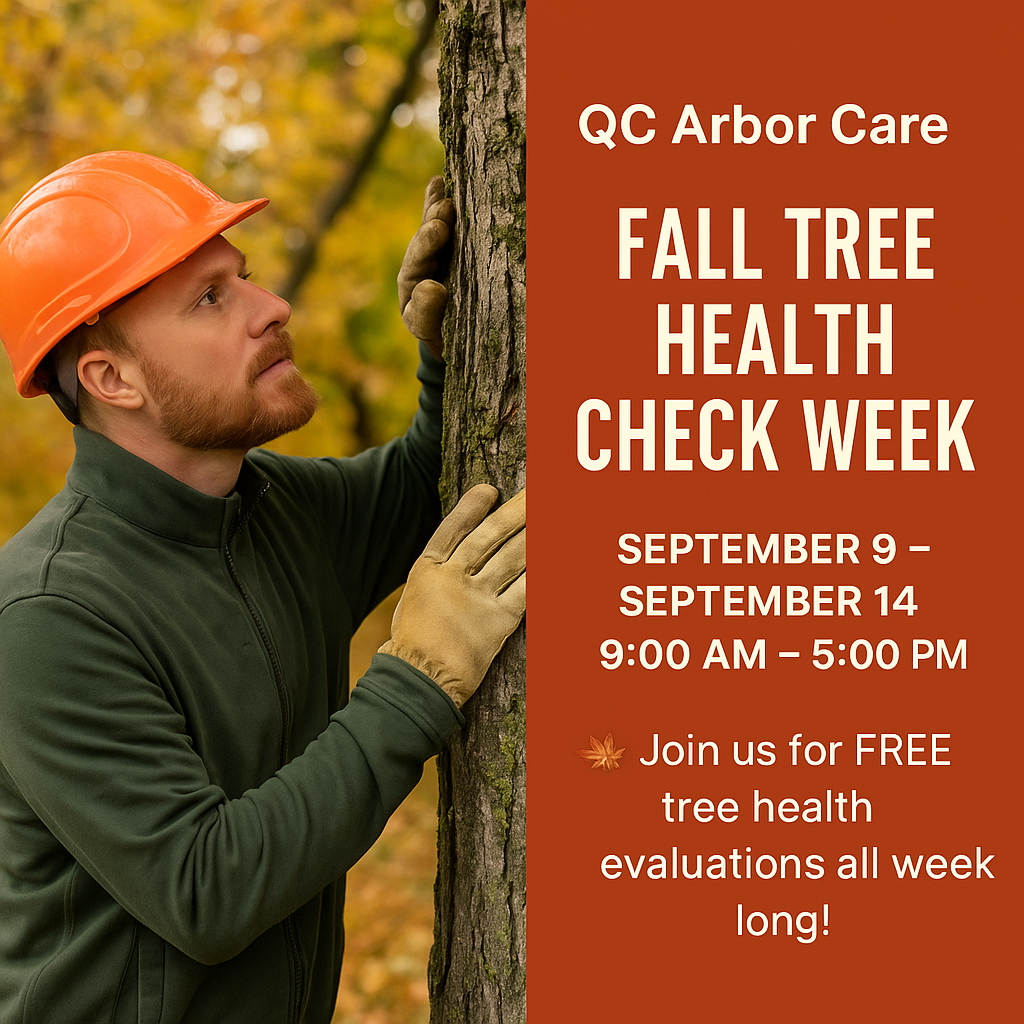 A man in an orange hard hat is leaning against a tree.
