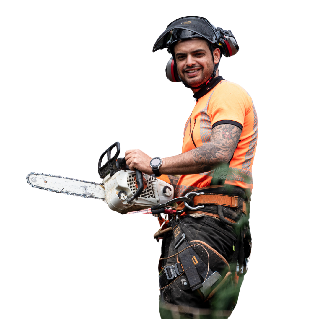 A man wearing a helmet and ear muffs is holding a chainsaw.