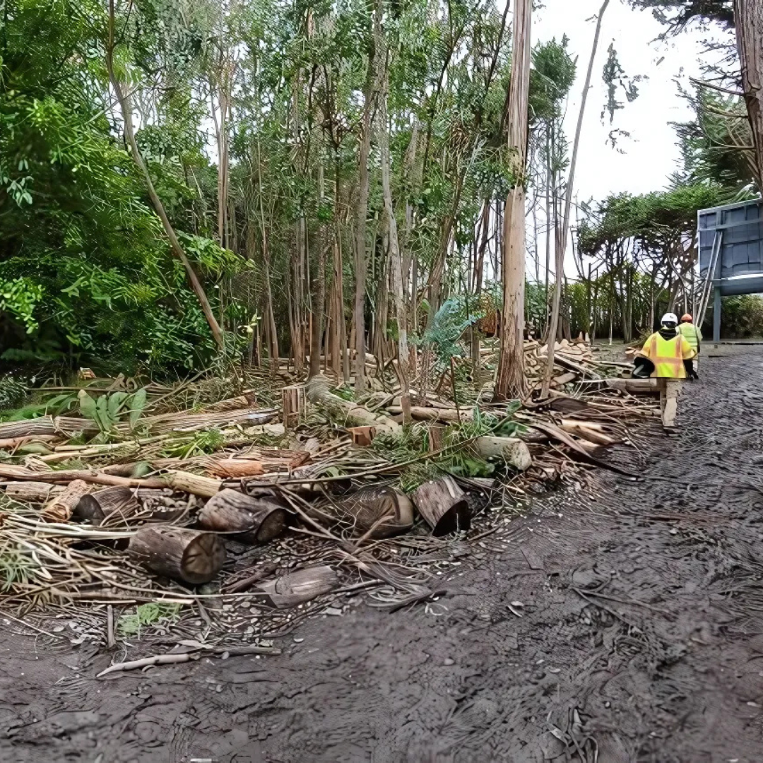 A man is walking down a dirt road next to a pile of logs.