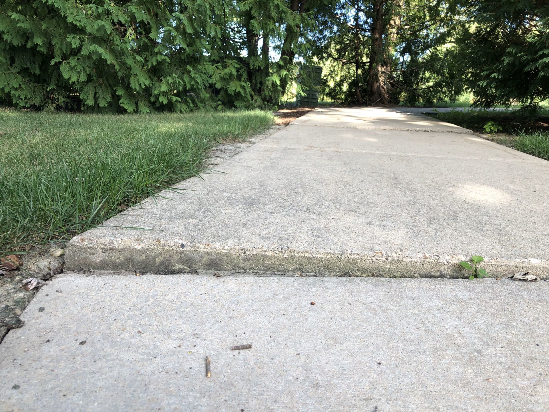 A concrete sidewalk leading to a grassy area with trees in the background.