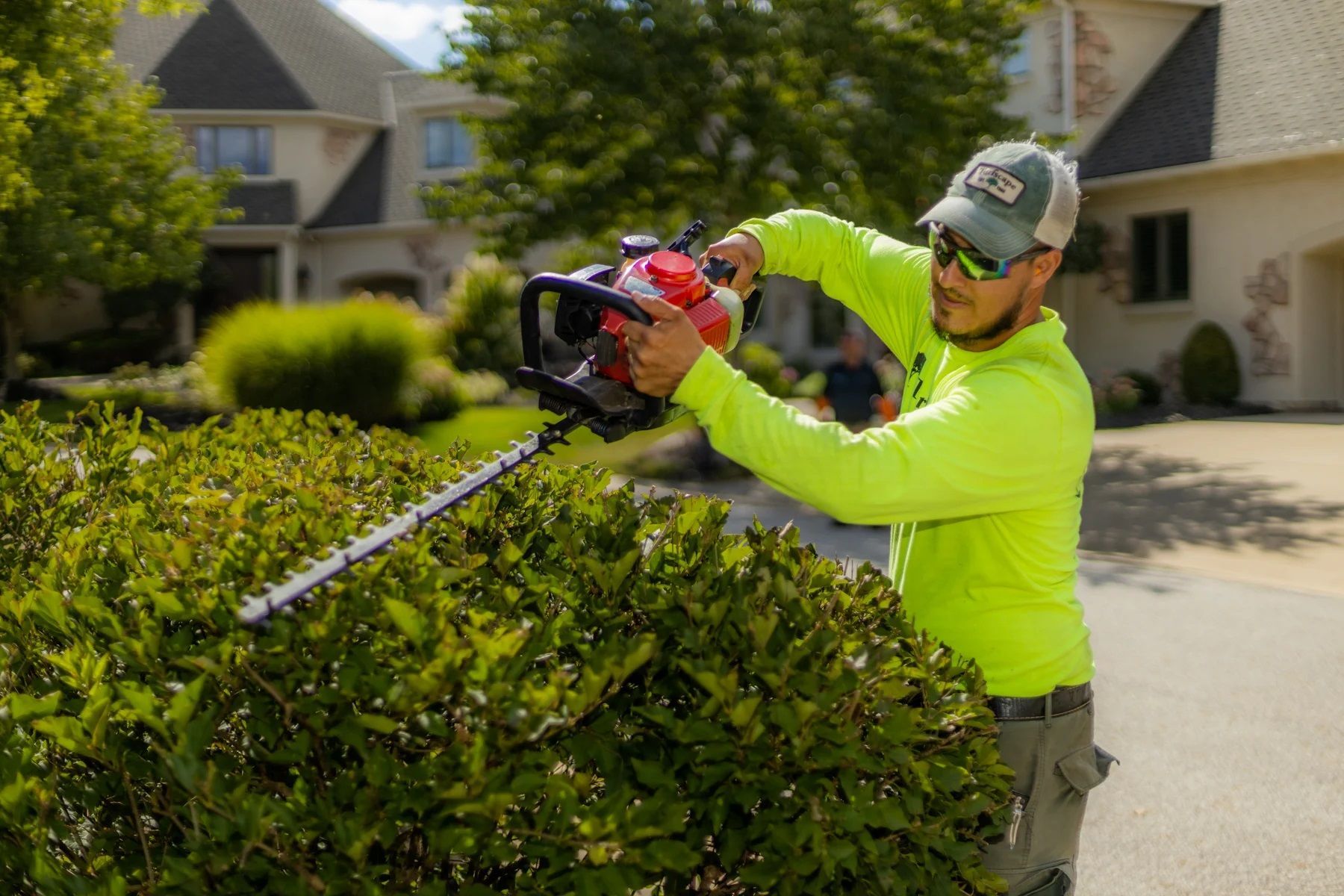 Emergency Tree Services