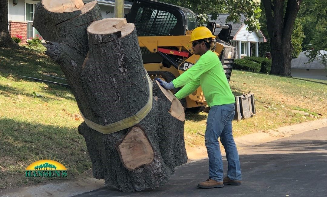 Emergency Tree Services