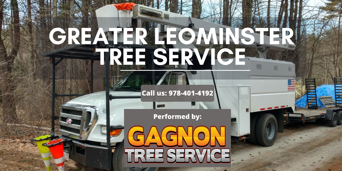 man giving a form to a lady