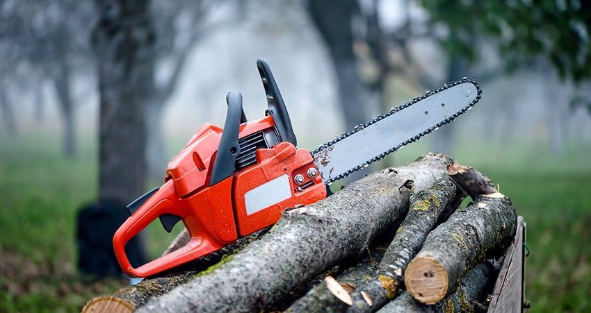 Tree Service Near Me Leominster MA