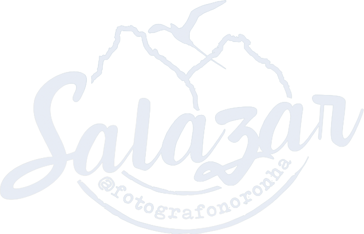 Salazar - Fotógrafo em Fernando de Noronha