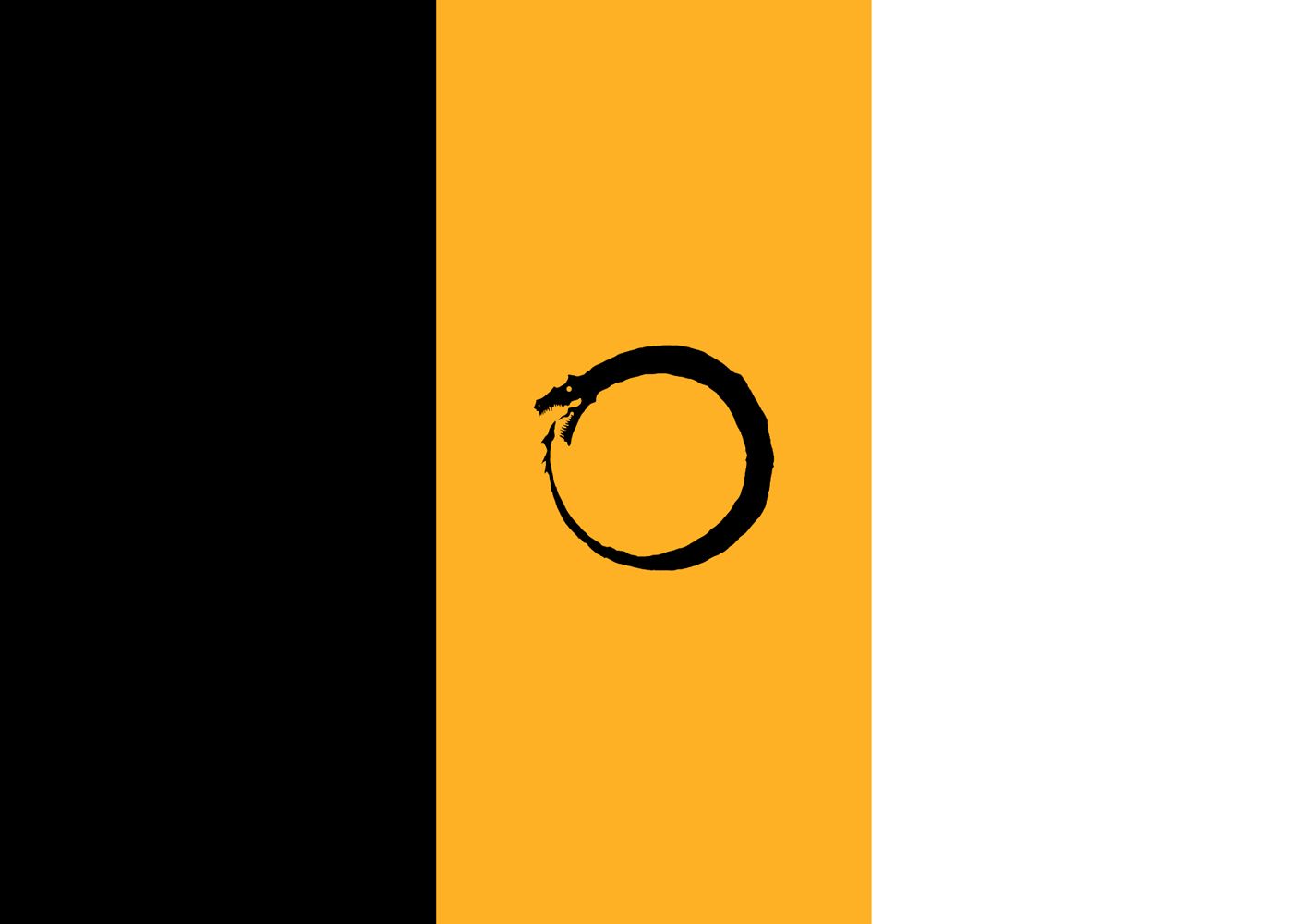 A black and yellow flag with a circle in the middle.