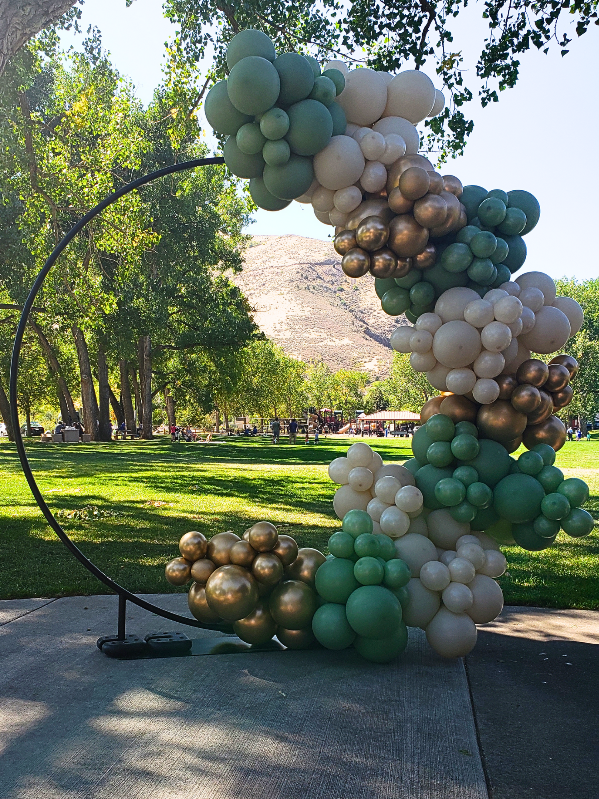 Circle Frame Half Organic Balloon Garland