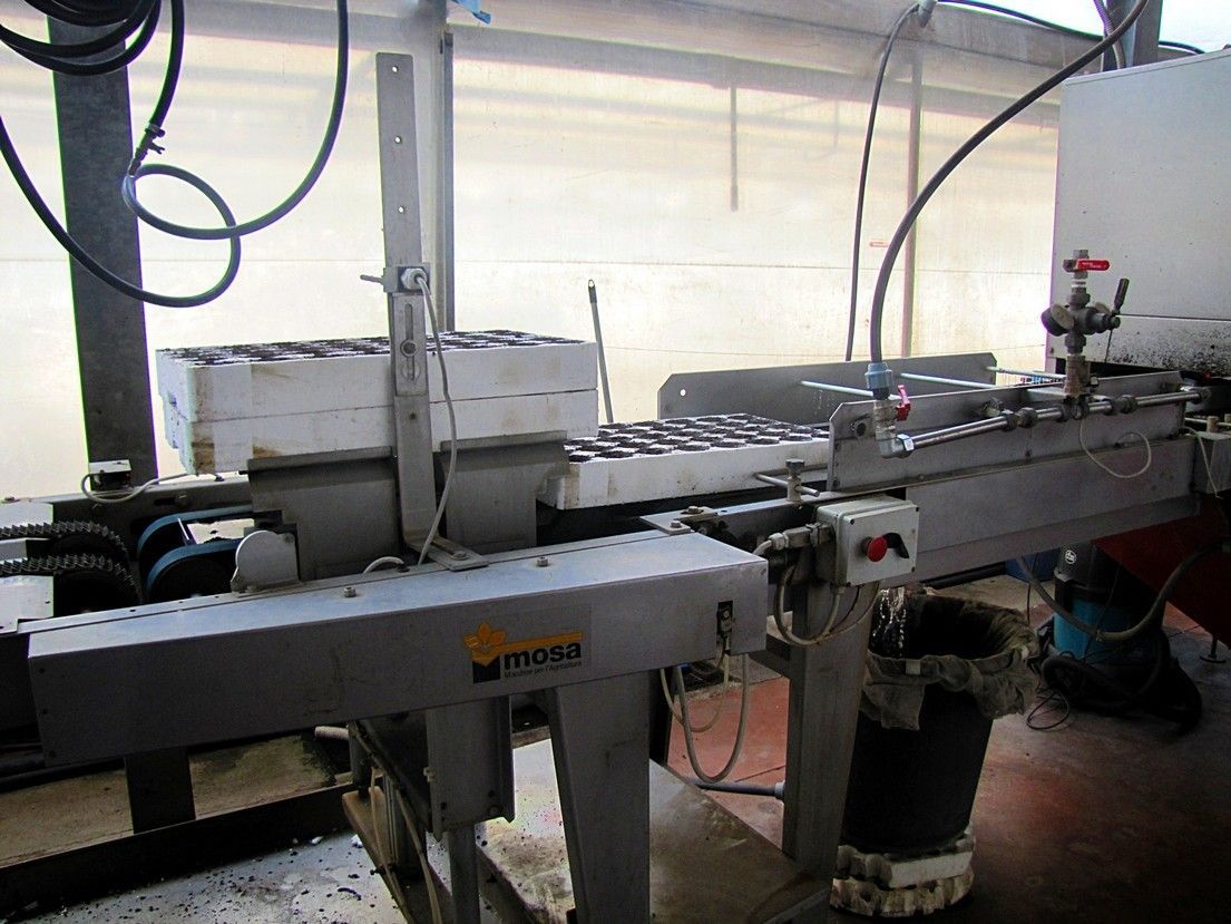 Vivaio Perrone Cosimo - Produzione piantine Leverano - Lecce