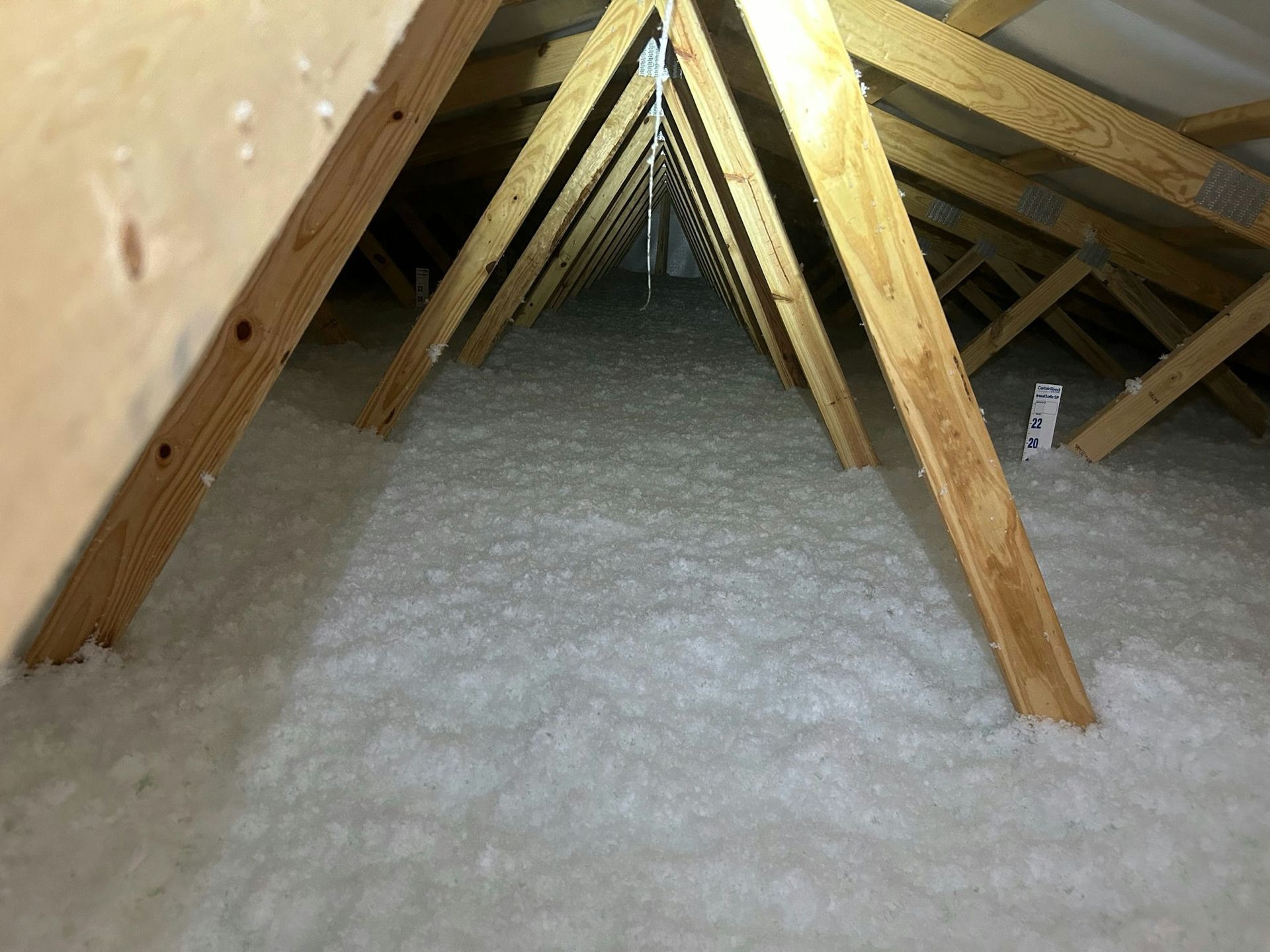 The attic of a house is filled with white insulation and wooden beams.