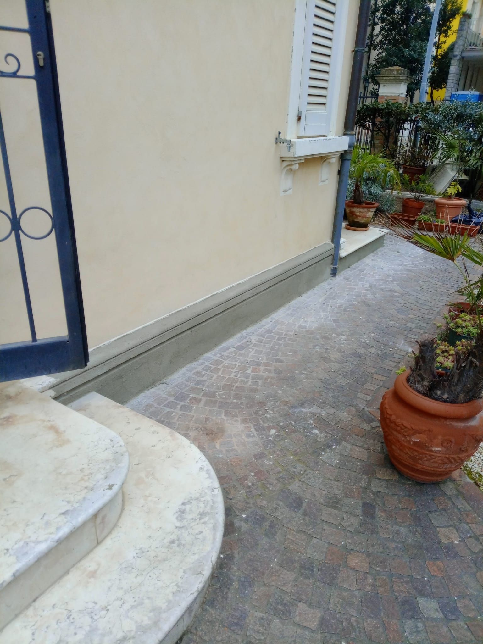 Una pianta in vaso è appoggiata sul marciapiede davanti a una casa.