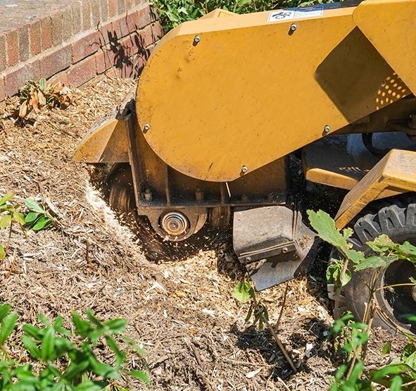 Stump Grinding