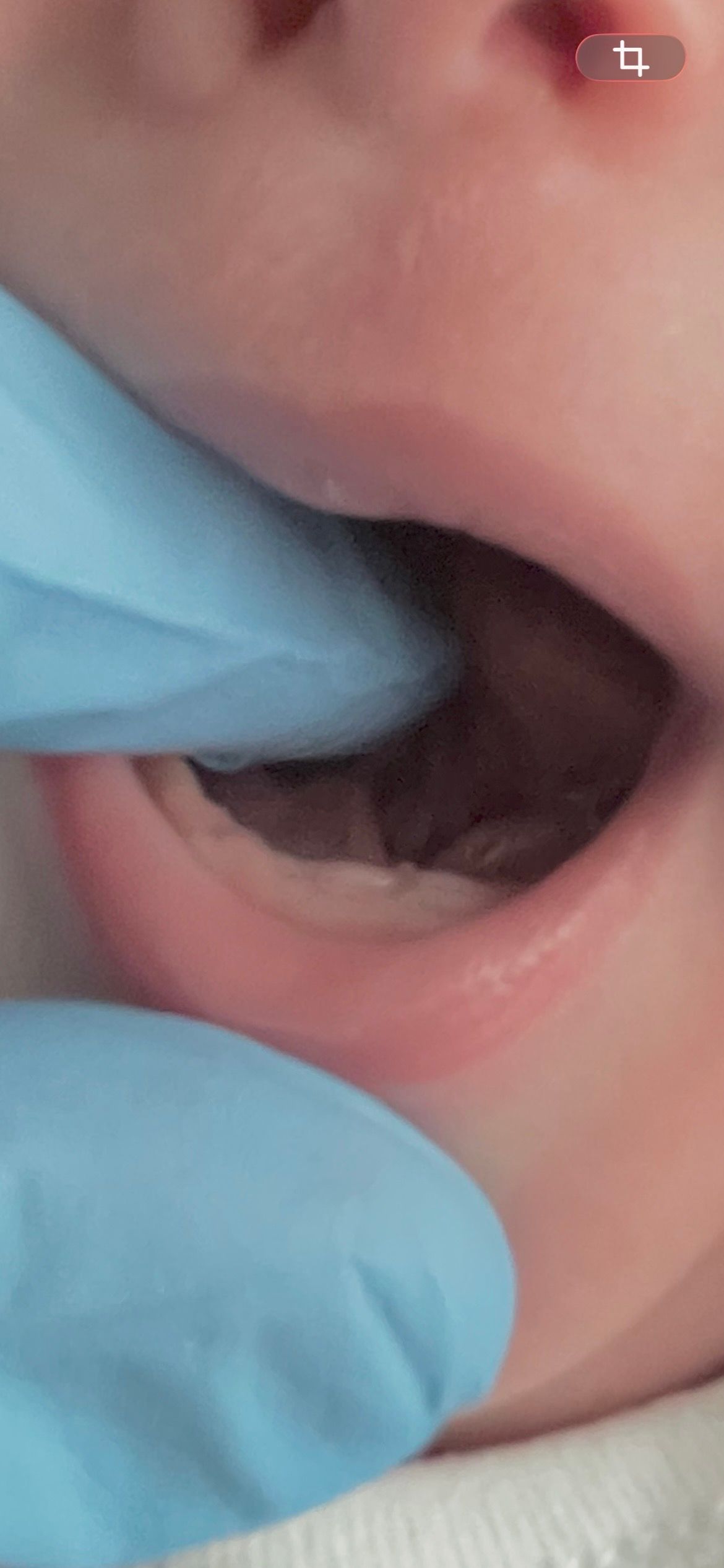 the atp member logo is purple and white and looks like a heart .