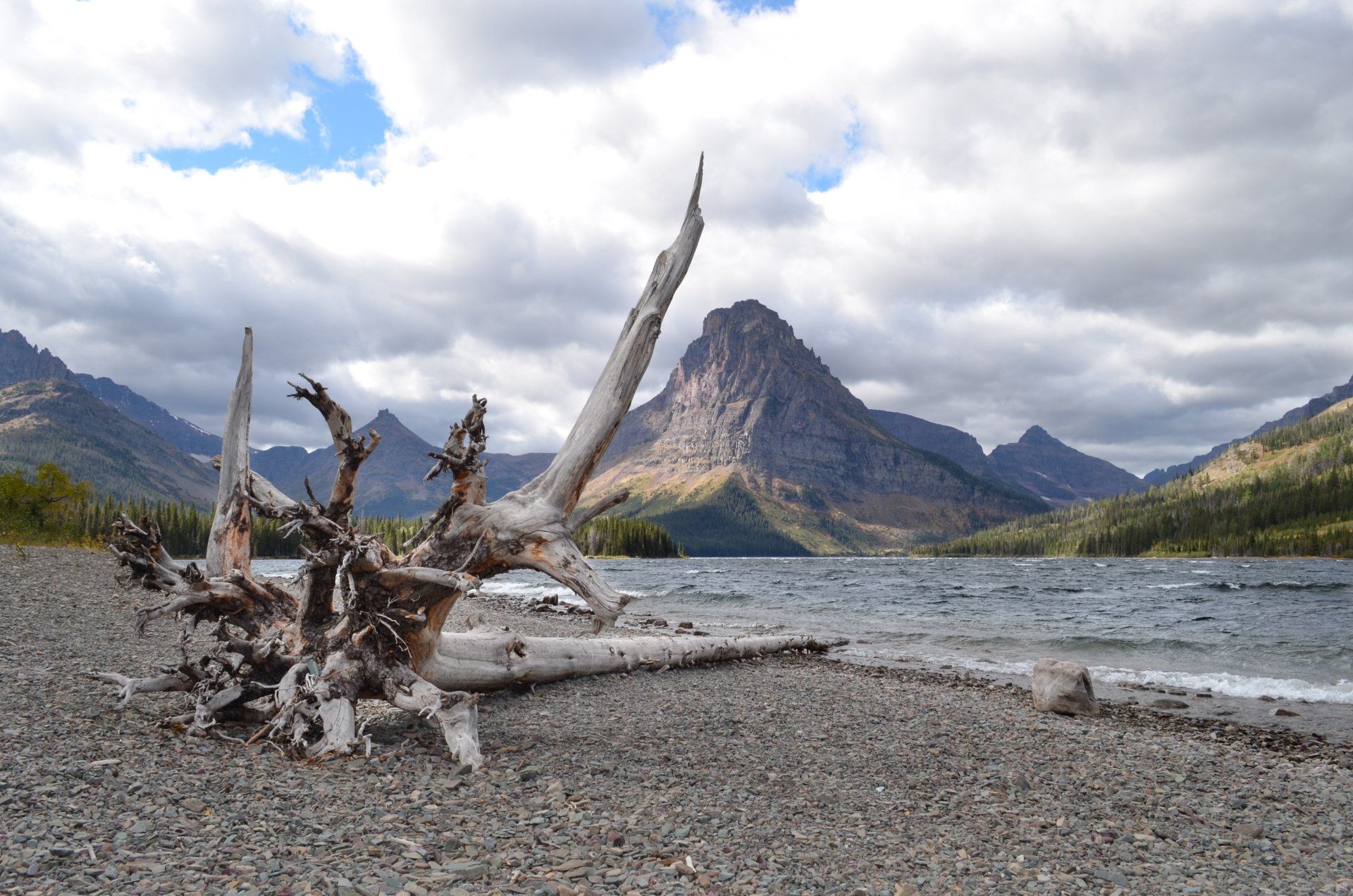 A large piece of driftwood sits on the shore of a lake with mountains in the background