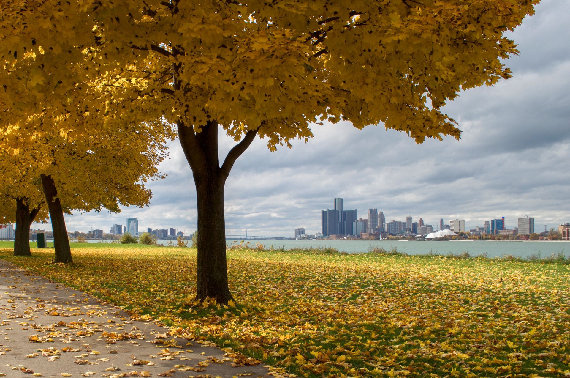 A city skyline is visible behind a row of trees