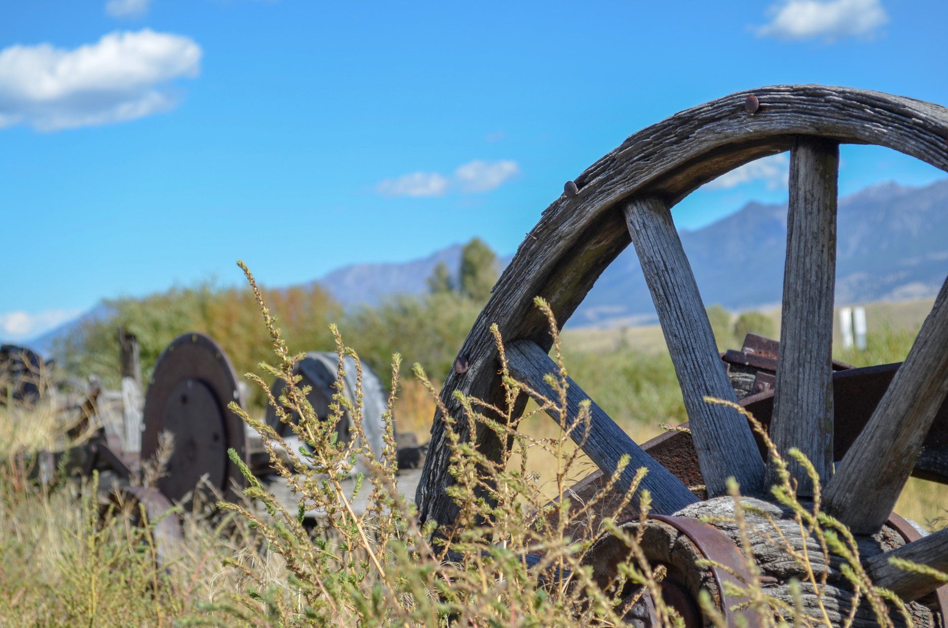 A wagon wheel in a field with mountains in the background