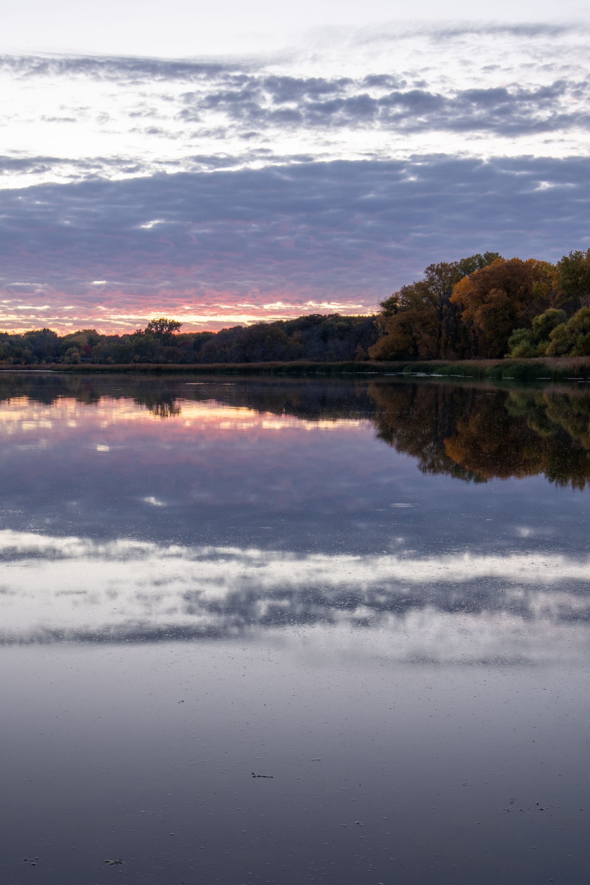 A sunset over a lake with trees in the background