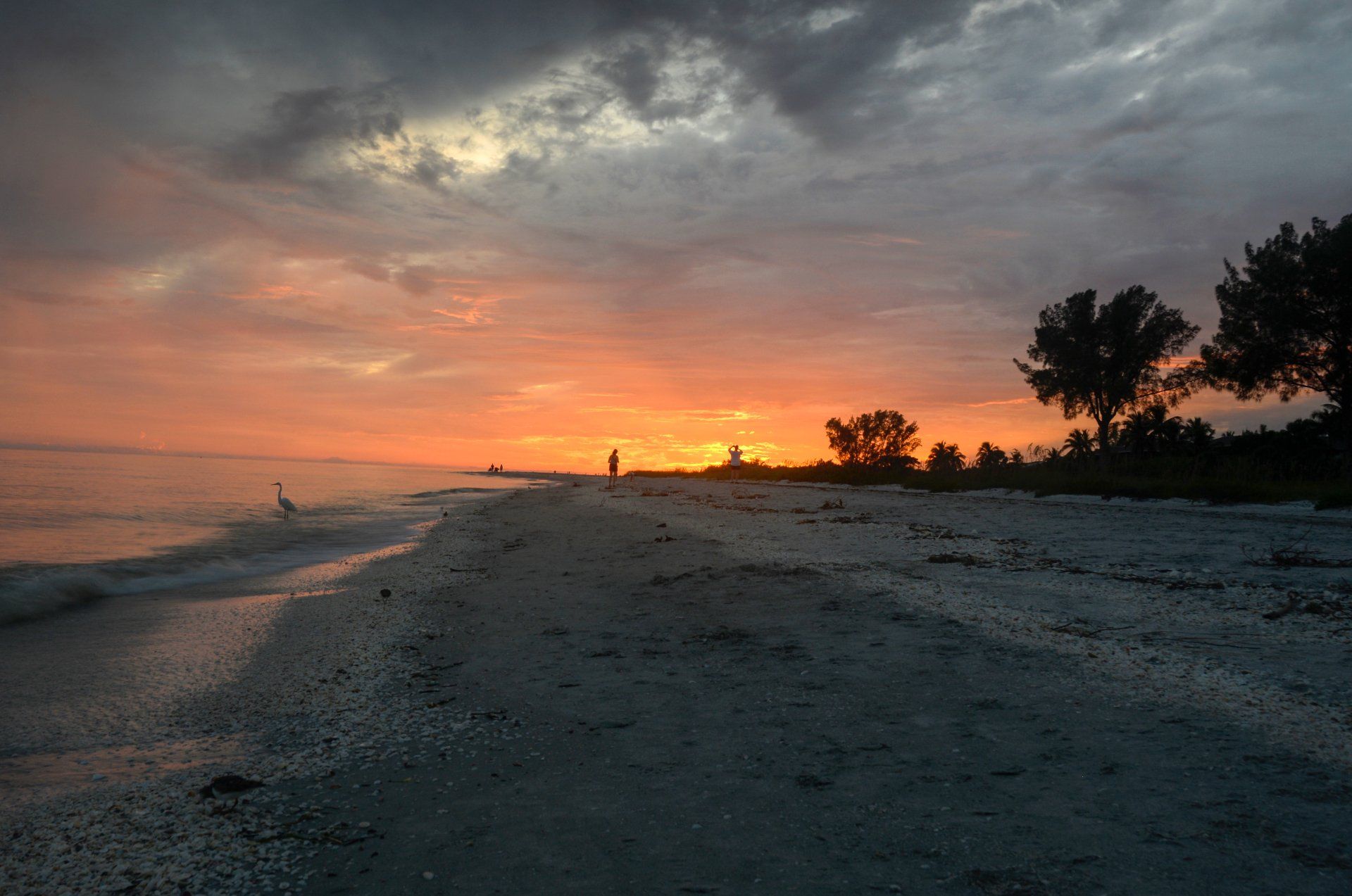 A couple walking on a beach at sunset