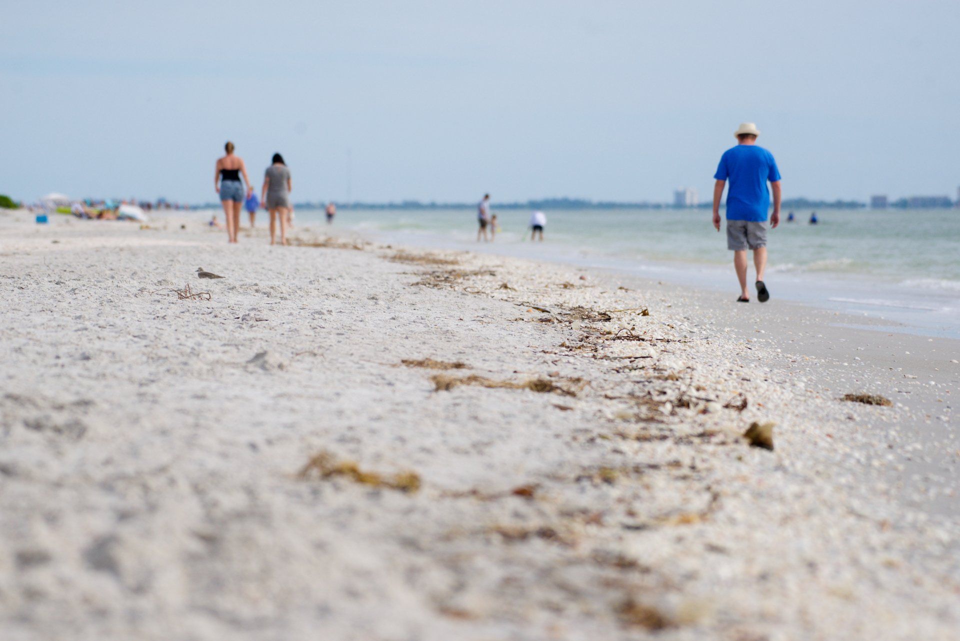 A man in a blue shirt is walking on the beach