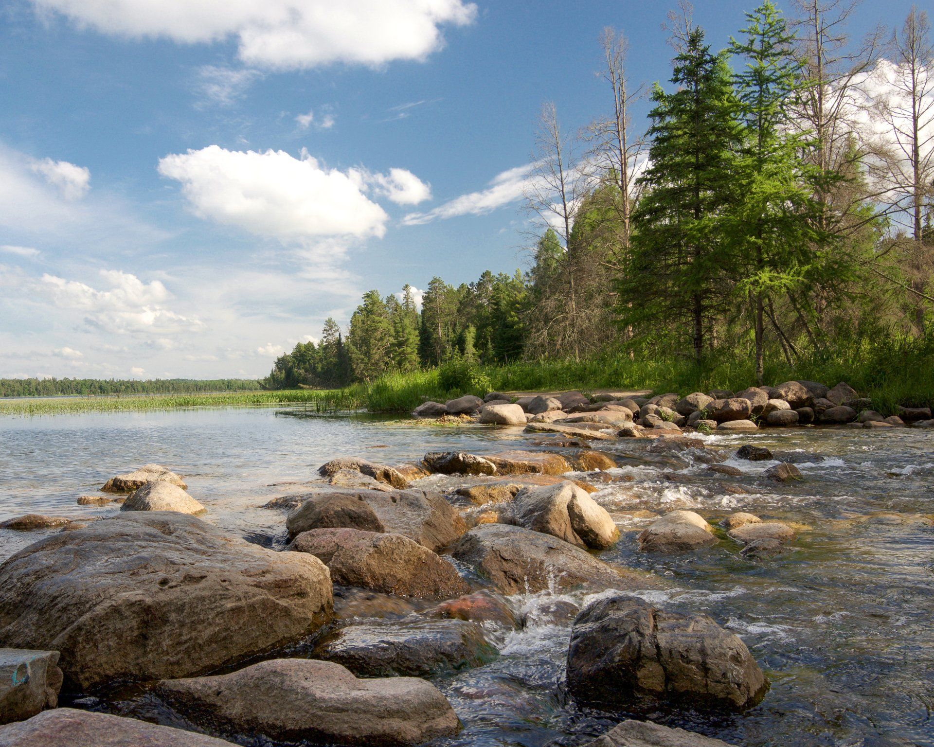 A river with rocks in the foreground and trees in the background