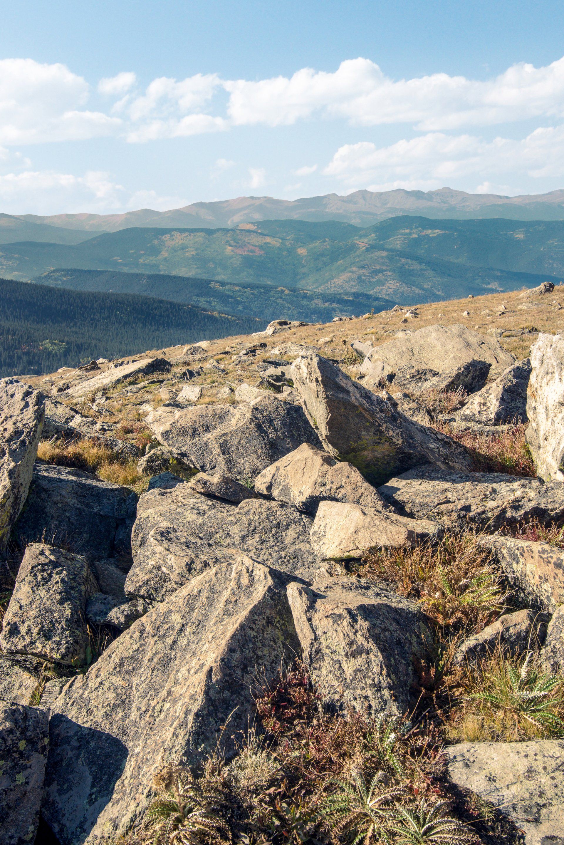 A rocky hillside with mountains in the background