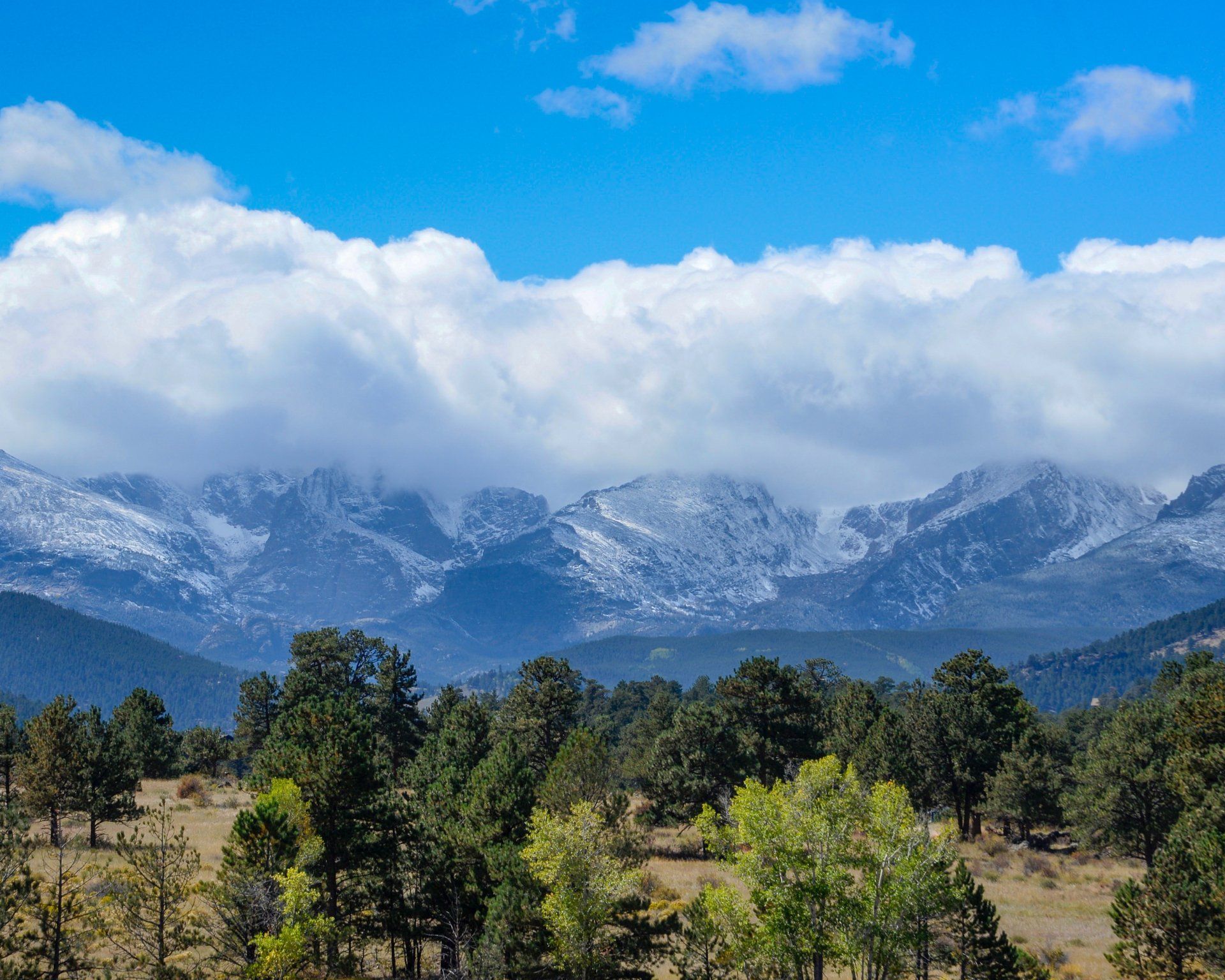 A snowy mountain range with trees in the foreground