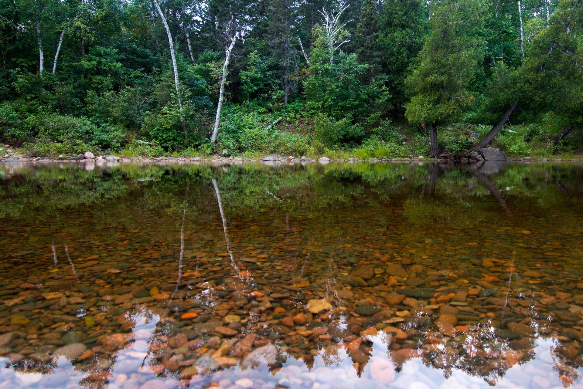 A river with trees reflected in the water